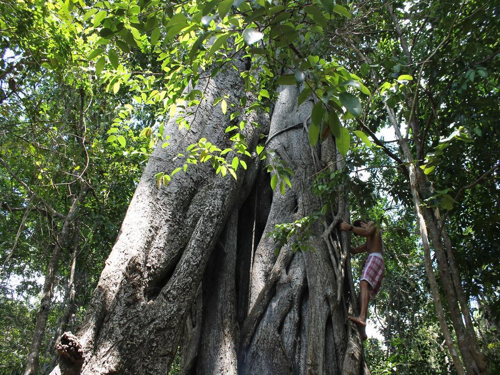 Pousada La Bonita Baía Formosa Esterno foto