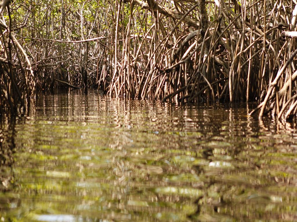 Pousada La Bonita Baía Formosa Esterno foto